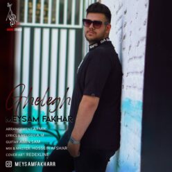 دانلود آهنگ میثم فخار قلق